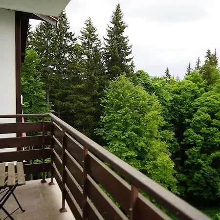 за гости в *