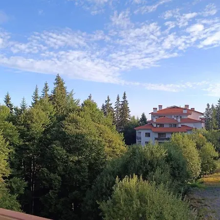 Apartment за гости в *