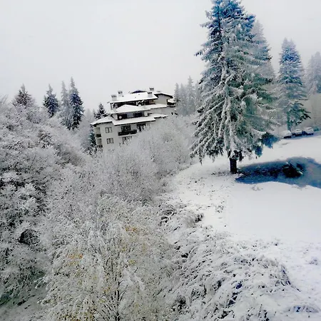 за гости в Apartment Pamporovo