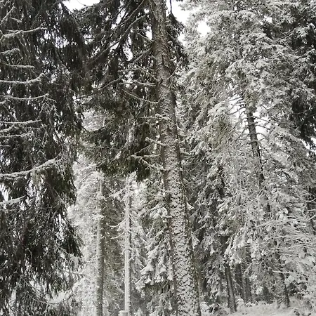 Апартамент за гости в *