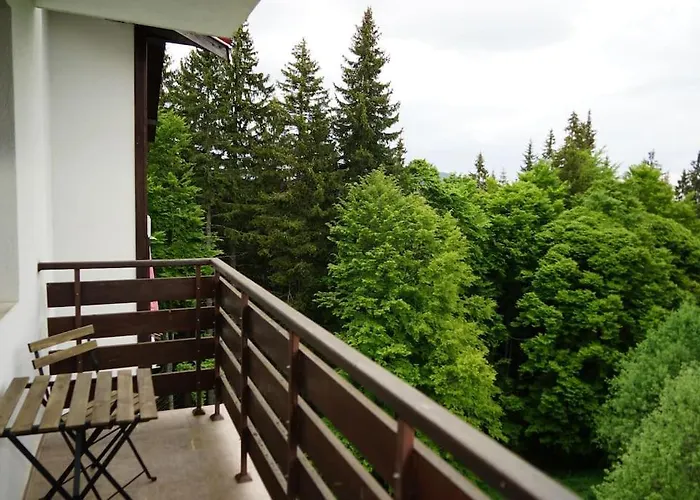 за гости в *