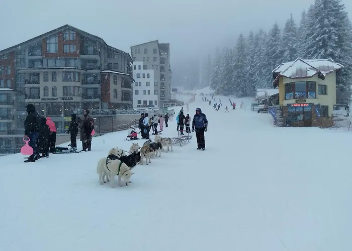 за гости в *