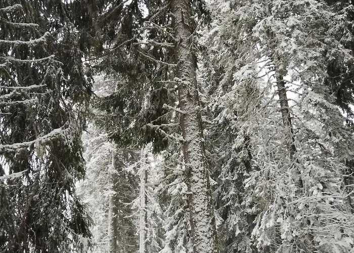 Διαμέρισμα за гости в *